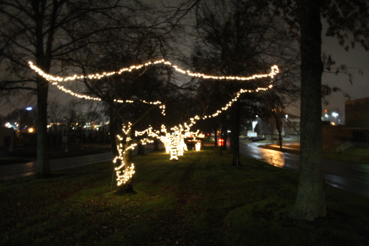 Pictures Of The Christmas Lights In The Median Of Quintard Avenue 2018 pictures-of-the-christmas-lights-in-the-median-of-quintard-avenue-2018