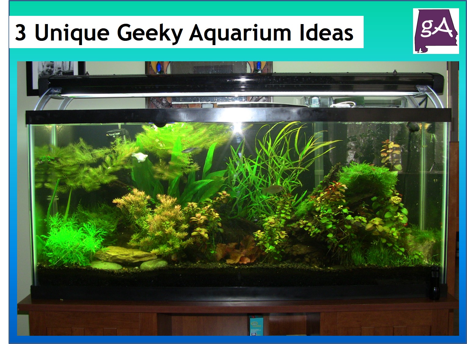 nerdy aquarium decorations
