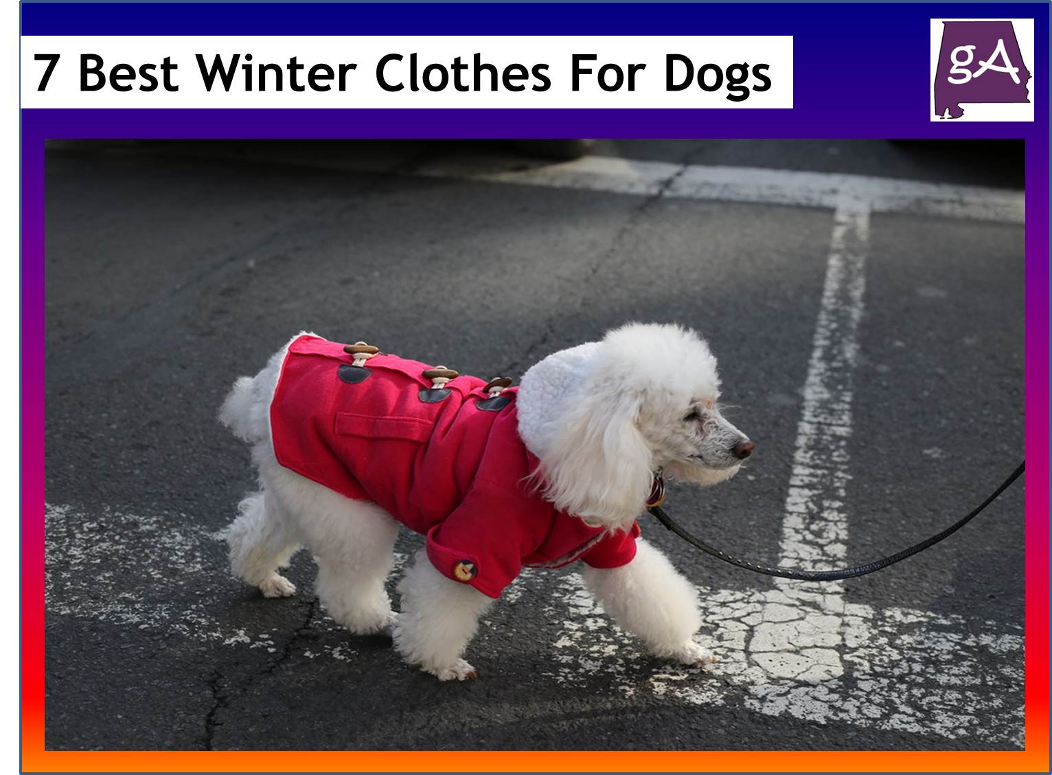 Explore The Seven Best Winter Clothes For Dogs Geek Alabama