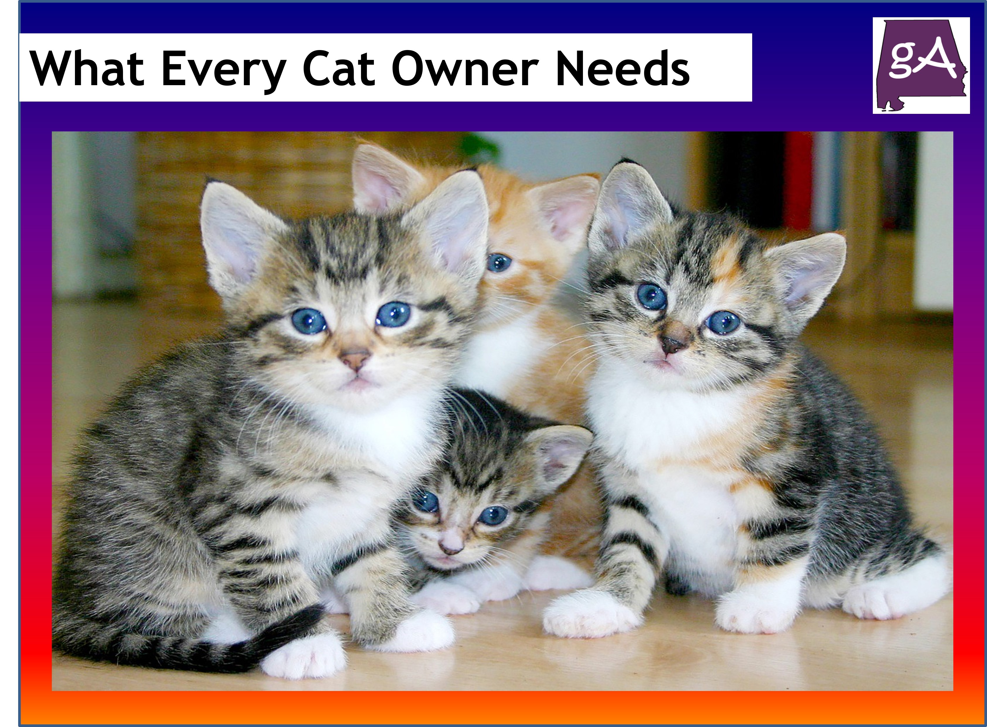 What Every Cat Owner Needs In Their Home Geek Alabama