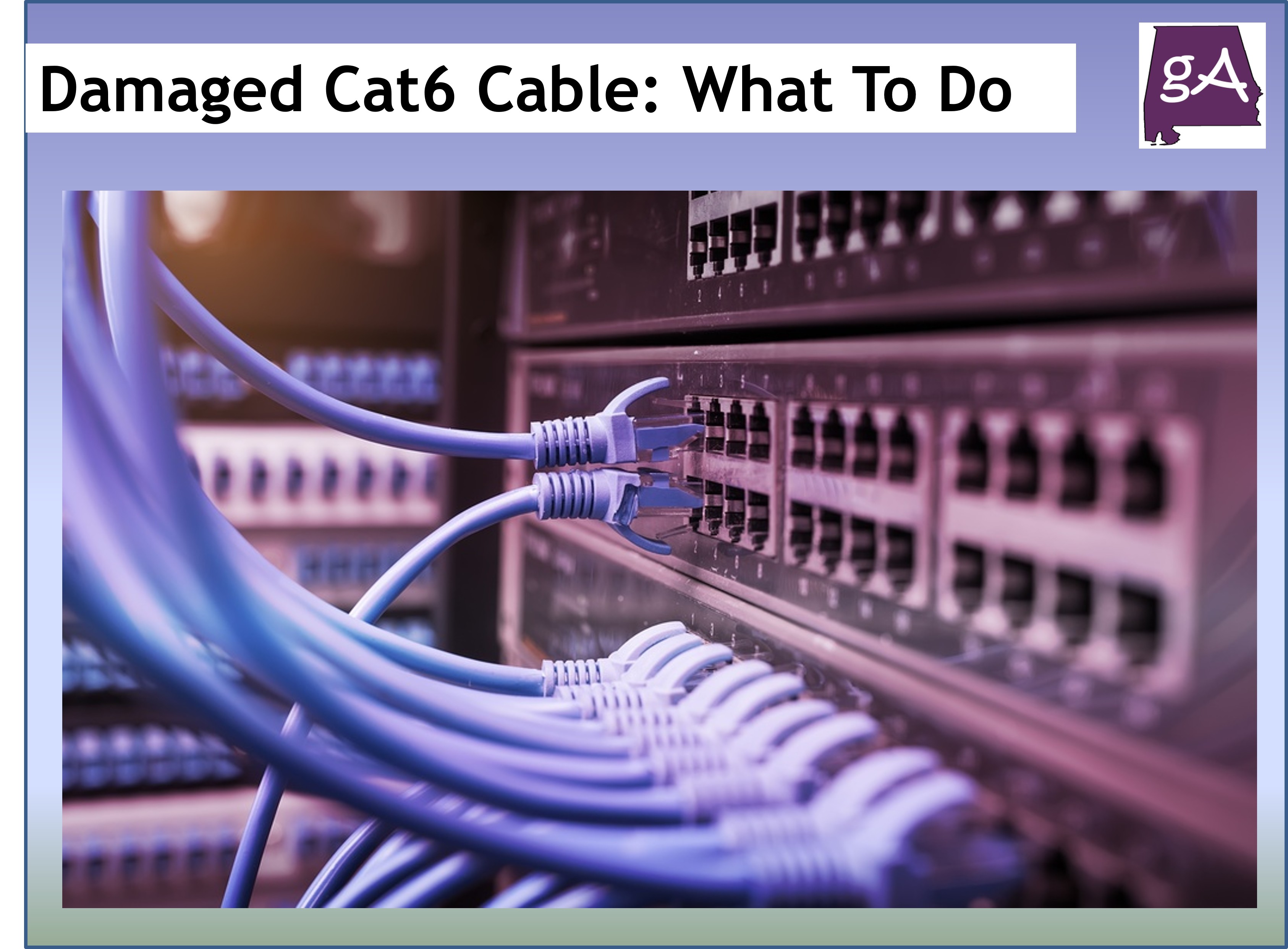 A Damaged Cat6 Cable: What a Business Owner Should Do